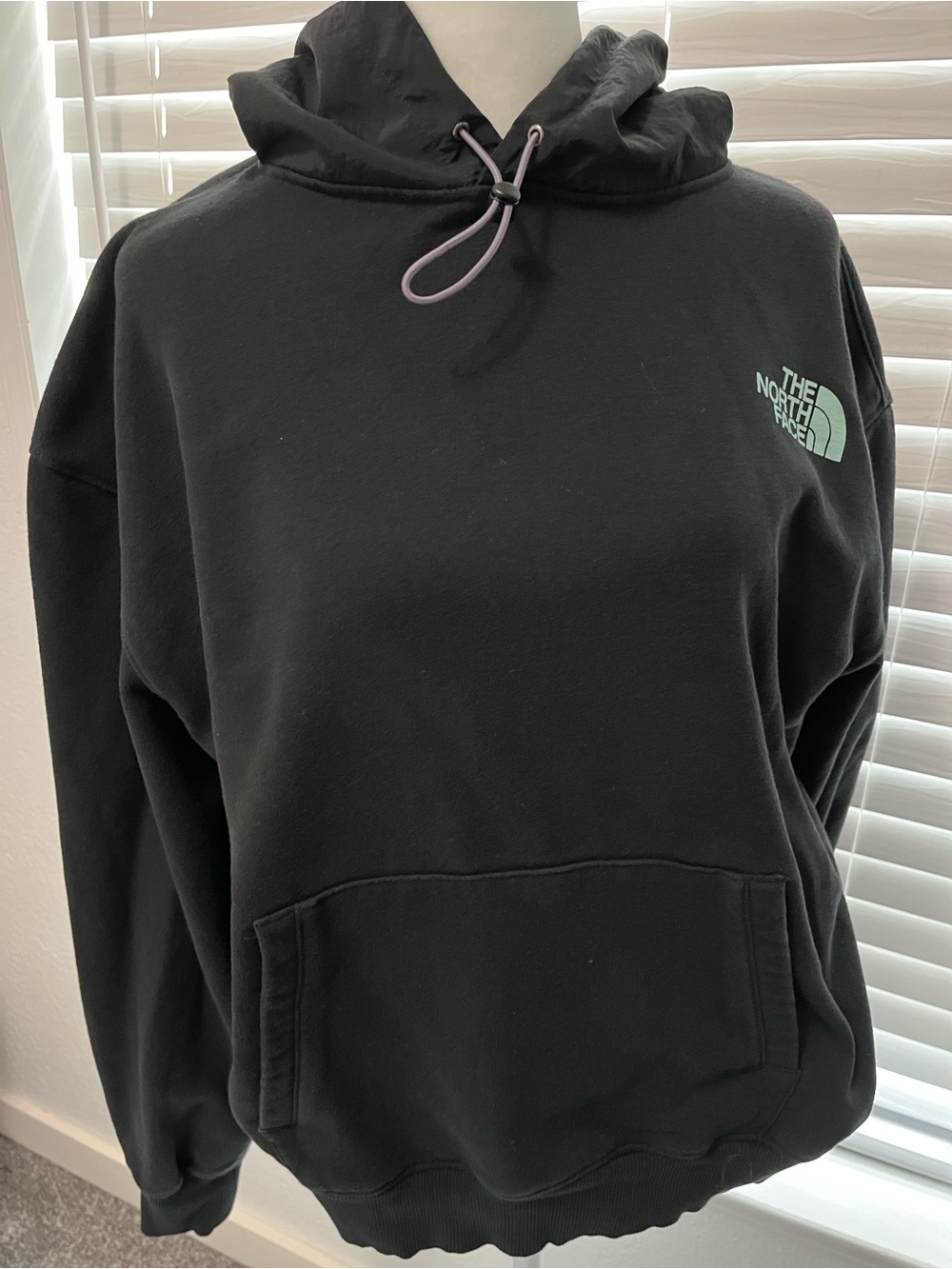 The North Face Black Pullover Hoodie with Mint Logo